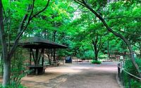 周辺環境:区立赤羽自然観察公園