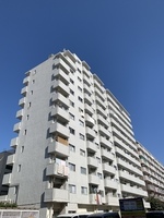 外観: