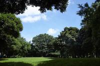 周辺環境:北区中央公園