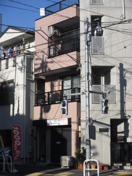 外観: